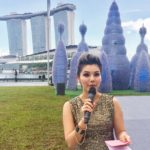 iLight Marina Bay Launch Ceremony 2017